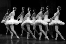 alles theater 05 / aus &quot;schwanensee&quot;