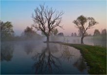 В тумане весенней реки / Раннее утро