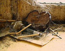 Из серии &quot;Любимые углы&quot; / Старое яблоко и другие персонажи...