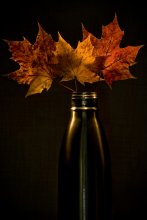 Тоска по осени / &quot;Autumn is a second spring when every leaf is a flower.&quot;~ Albert Camus.
/Мой первый эксперимент со световой кистью/