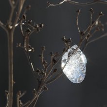 капля / во что иногда превращается мокрый снег