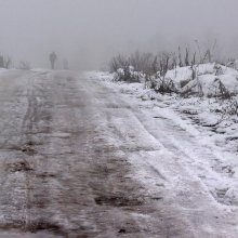 Зимняя дорога в оттепель / в Витебске