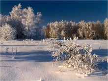 В белой шубе января / В один из самых холодных январских дней прошедшей зимы