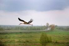 Зямля пад белымі крыламі / мне падабаецца