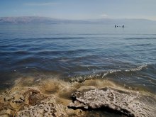 Как поплавки / Мертвое море-самый низкий участок суши,
третье по солености,выживают бактерии и купающиеся.