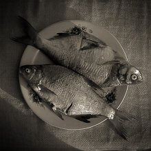 Про рыбу и геометрию / 2 рыбы на службе у искусства.