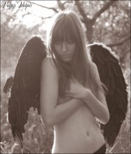 angel with black wings / *****