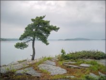 Group of Seven style / Джорджыан Бэй (Georgian Bay), Антарыё, Канада
урэшце я і туды дабралася :)