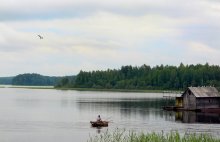 Перечитывая Фенимора Купера / Жаль, что трава - в ПНУ, а не в ЛНУ. Но это, как сказал бы Марадона, - "рука Бога" :)