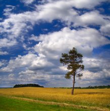 ........Пейзаж летний теплый....... / ...На рыбалке...