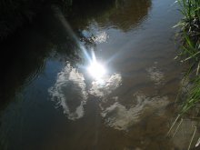 Солнце в воде. / Гродненская область, река Плиса.