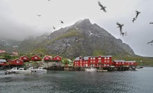 О / Поселок А (по норвежски читается "О"), на южном конце Лофотенской гряды,остров Москенесёй.
Ночь, за тучами с дождем (преследовавшими нас всю поездку), где-то скрывается послеполуночное солнце. Поначалу очень непривычно было круглые сутки видеть свет.Крикливые чайки вездесущи--постоянно ищут, чем поживиться или что утащить, но они неотъемлемы от местных реалий.