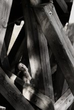 В западне / девушка среди деревянных опор старого моста