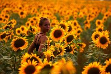 Под солнечность1 / яркие деньки живем...).Алла.