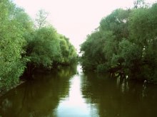 На реке. / Река Тарасовец в Новгороде Великом.
