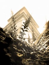 прарастаючы скрозь камяні... / ***