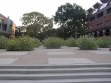 Подсолнухи и модерн / ***