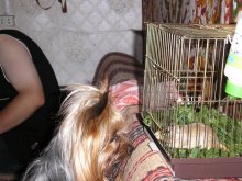 охотник / ***