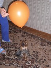 давай поиграем / ***