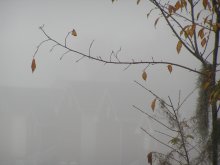 Дома в тумане / ***
