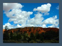 Bryce Canyon / ***