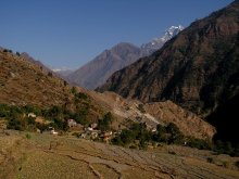 Гималайские предгорья. Непал / ***