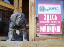 Объект под защитой / ***