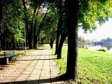 По зеленому коридору / ***
