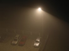 Мерсик в тумане / ***