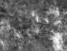 &nbsp; / осень скоро...