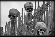Memento mori / черепа...парижский Диснейленд представляет.