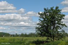 Родные просторы. / Санкт-Петербург, Россия.