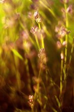 &nbsp; / Без фотошопа