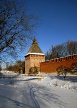Смоленск и его окрестности 33... Копытинкая башня... зима. / Иногда вспоминая зиму...