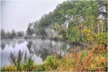 Туман на лесном озере / Утренний осенний туман