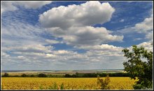 Южноукраинская облачная / Трасса Е95
Горизонт не завален - местность неровная и холмистая.
Панорама из 4-х вертикальных кадров.