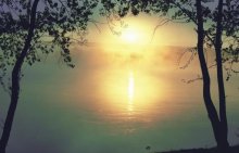 утро туманное / природа