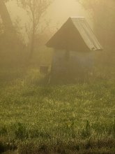 Утро ... / в деревне