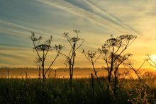 Встречая рассвет / *****