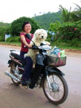 Человек собаке друг! / Снимок сделан в апреле 2010 года по дороге в национальный парк Рием вблизи г.Сиануквиль (Камбоджа)