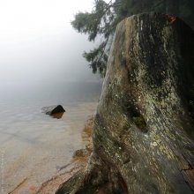 Лесной житель / Mummelsee. Schwarzwald (Germany)
Озеро расположенное на высоте 1.036 метров. Название порисходит от старинного немецкого слова &quot;die Mumme&quot; - нимфа. Озеро с древности окутано мистическим ореолом и до сих пор поговаривают, что оно наполнено нимфами и русалками