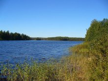 Озеро / Одно из озер в Карелии