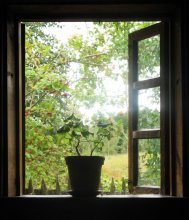 Окно в осень / Лето-осень. Грань