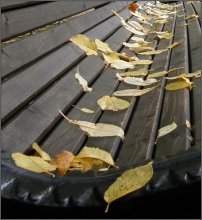 &nbsp; / сентябрь, 16-го...