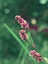 &nbsp; / так просто:)