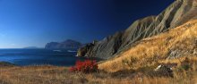 осенние берега / Крым, осень