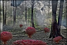 Частная собственность 2 / склеіл пару фоток