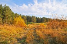 Осень / Север Свердловской области