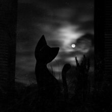 MoonCat / Кадр сделан сегодня примерно в 04:30. На подоконнике &quot;сидит&quot; деревянная фигурка кота, рядом с ней вазон, а за окном проносятся ночные тучки, освещенные холодной луной.