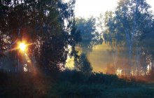 Бабье лето / Пейзаж